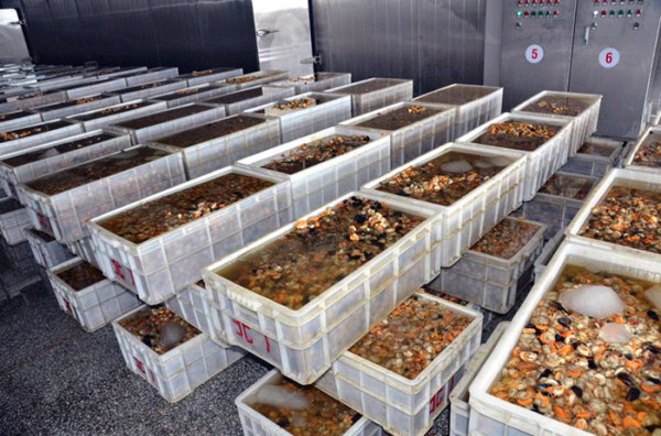 扇貝加工的產(chǎn)業(yè)布局與國際貿(mào)易 以大連長海縣和綏芬河保稅區(qū)為例