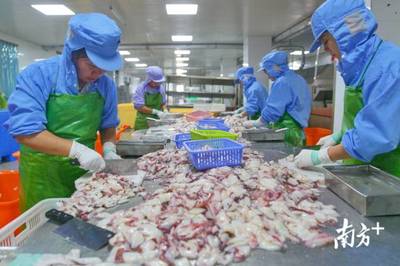 南澳島羊嶼村 幫扶助力海產(chǎn)品加工發(fā)展，貧困戶全部實(shí)現(xiàn)脫貧增收