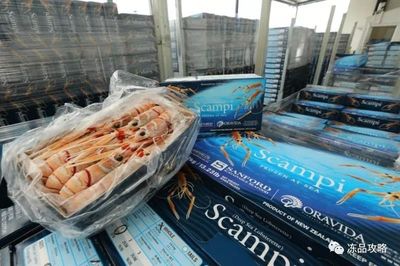 桑福德劍指利潤(rùn)倍增，中國(guó)市場(chǎng)能否成為關(guān)鍵增長(zhǎng)引擎？