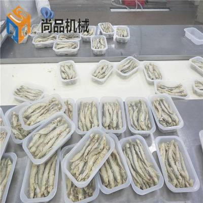 海產(chǎn)品加工高效解決方案 巴沙魚滾筒上粉機(jī)、帶魚段連續(xù)式油炸機(jī)及小刀魚裹粉油炸成套設(shè)備