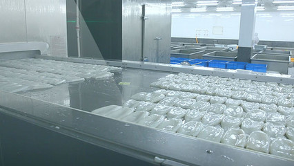 海產(chǎn)品加工 從海洋到餐桌，主圖素材的藝術(shù)與科學(xué)